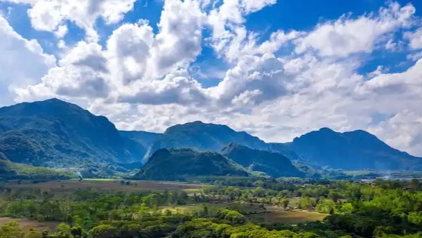 定居新加坡需要什么条件：新加坡入籍要求有哪些