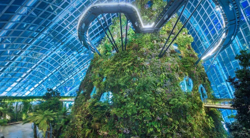 新加坡自雇 EP 移民避坑指南：这几点做错，直接拒签