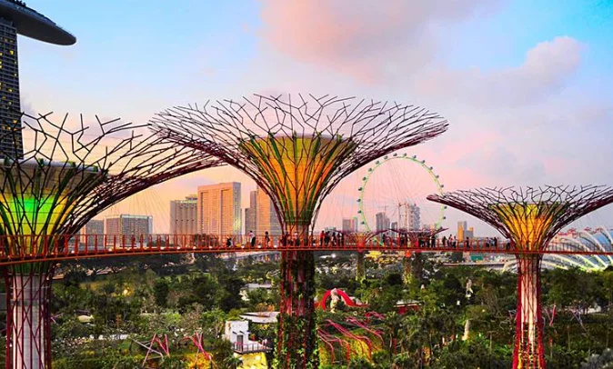 新加坡家族办公室移民：方案拆解与核心优势，高净值家庭出海首选