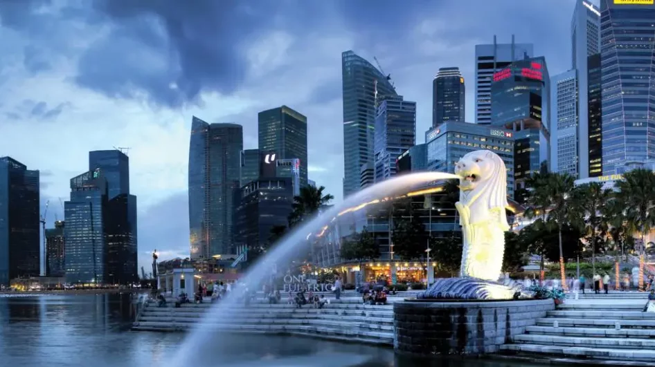 新加坡 PR 申请的完整流程和必备材料清单是什么？