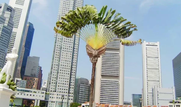 普通人移民新加坡最容易、门槛最低的方式是什么？